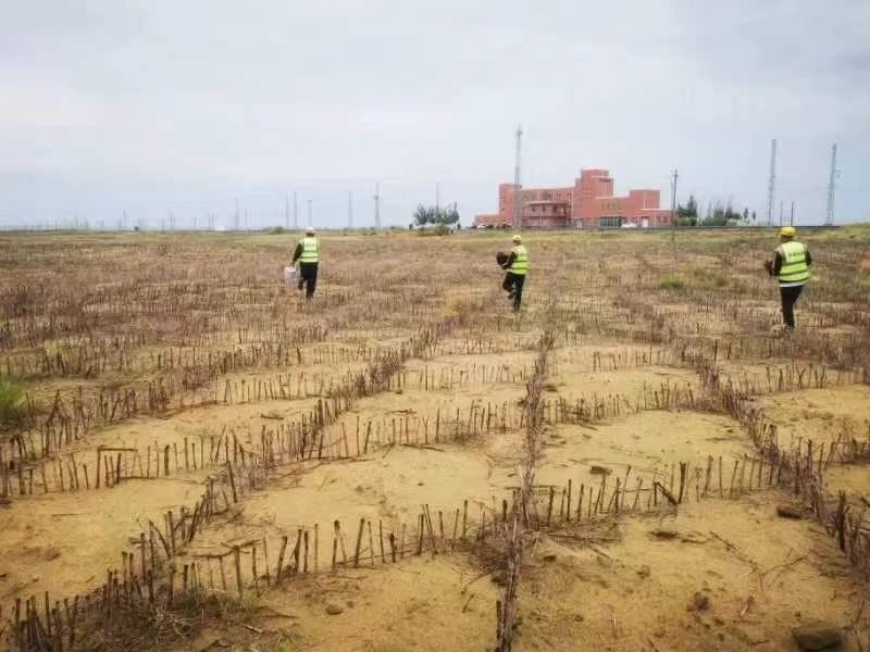 微信圖片_20250313092115.jpg